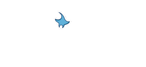 See Blue Fish Sticker by Adeliom