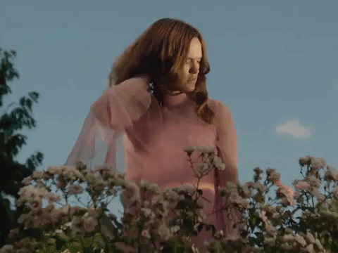 wet music you're not wrong GIF by Wet