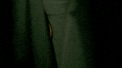 The Masters Green Jacket GIF by Wilson Golf