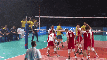 Happy Joy GIF by Volleyball World