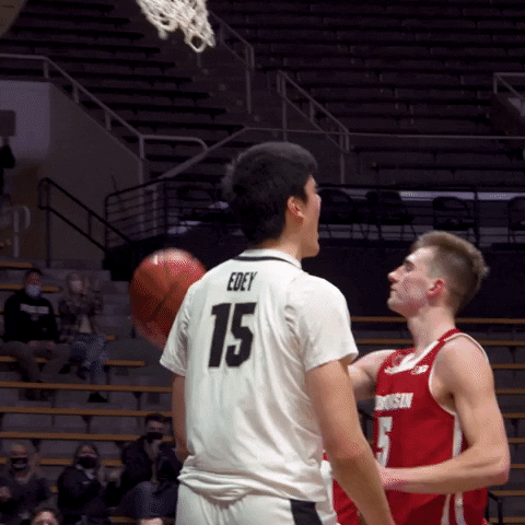 Happy Lets Go GIF by Purdue Sports