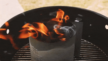 Fire Burn GIF by Pit Barrel Cooker