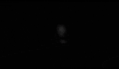paracrona logo deathmetal blackmetal paracrona GIF