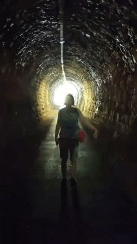 tonicove giphygifmaker zelenika GIF