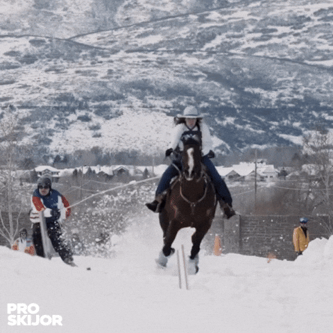 proskijor giphyupload skiing wintersports skijoring GIF