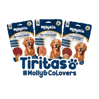 Mollyandco tiritas mollyco mollyandco mollyandcolovers Sticker