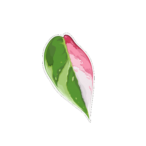 Plant Sticker by Hankō