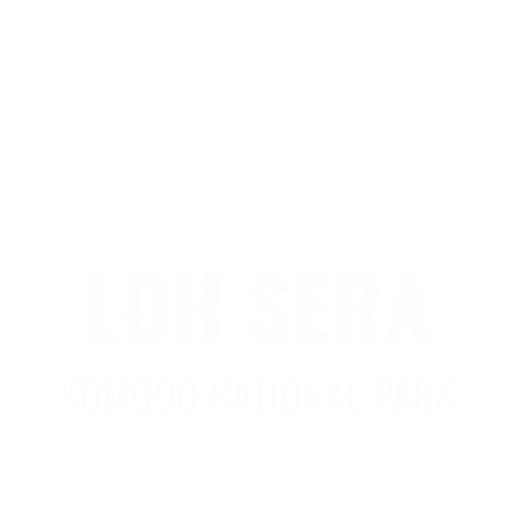 Scubadiving Sticker by Dragon Dive Komodo