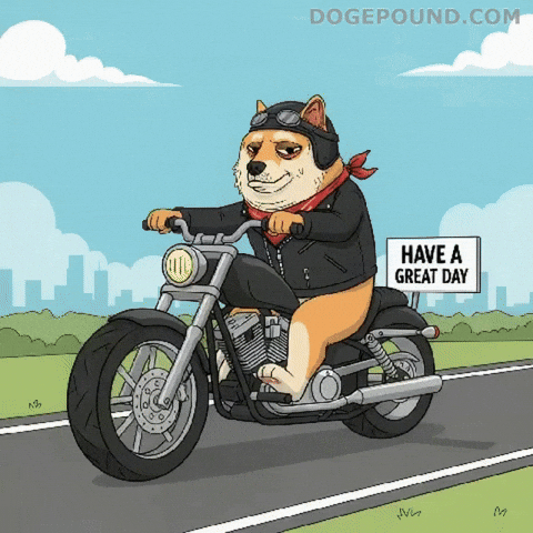 Driving Good Day GIF by Doge Pound