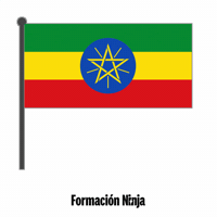 Ethiopia Flag GIF by Formación Ninja