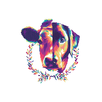 teamvegan go vegan not the same teamvegan team vegan Sticker