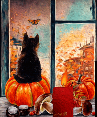 michelegiammaria giphyupload mg miki4 autunno GIF