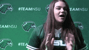 Softball GIF by RiverHawk Sports
