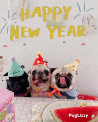 New Year Pug Party GIF
