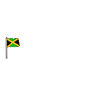 Roller Coaster Jamaica Sticker by Ultra Records