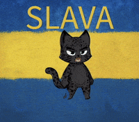 Ukraine Bravery GIF by Hero Galaxy NFT