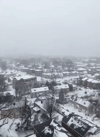 Edgewater Blanketed in Snow as Winter Storm Hits New Jersey