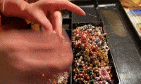HezzaFezza diy pearls lizards hezzafezza GIF