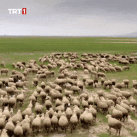 Friends Running GIF by TRT