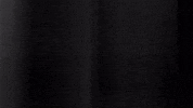Football Sport GIF by SK Sturm Graz