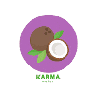 Vitamin Water Coconut Sticker by Karma Water