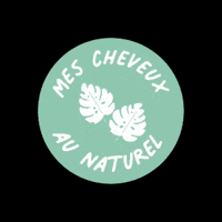 Lbb GIF by La Belle Boucle