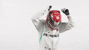 Formula 1 F1 GIF by Mercedes-AMG Petronas Motorsport
