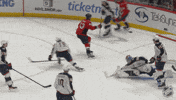 Happy Washington Capitals GIF by NHL