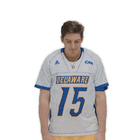 ncaa sports sport Sticker by Delaware Blue Hens