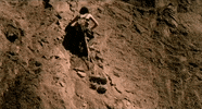 away from the sun GIF by 3 Doors Down