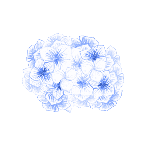 Flower Bagels Sticker by Bforbagel