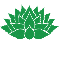 Agave Tobala Sticker by Convite Mezcal