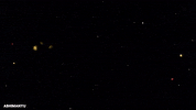 Army Elvish GIF