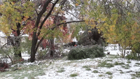Ice Storm Causes Damage in Dallas