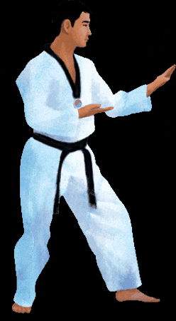 Martial Arts Sport GIF by vank