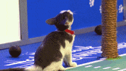 Football Playing GIF by Hallmark Channel