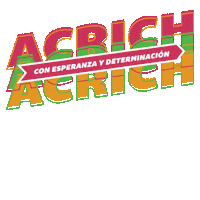 Sam2024 Sticker by Samantha Acrich