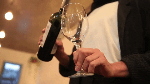 carlaperalva giphygifmaker wine GIF