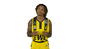 Ewe Baskets Basketball Sticker by EWE Baskets Oldenburg