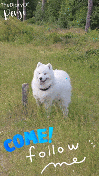 Friends Follow GIF