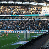 Goal Fans GIF by Bolton Wanderers FC
