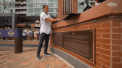 Chicago Cubs Baseball GIF
