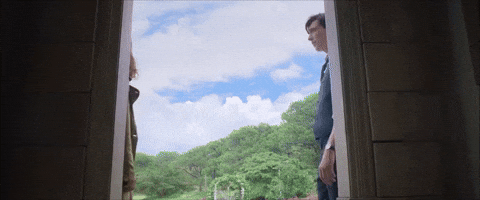 peter rabbit GIF