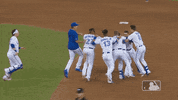 Major League Baseball Sport GIF by MLB