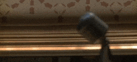 tennessee GIF