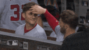 harper GIF by MLB
