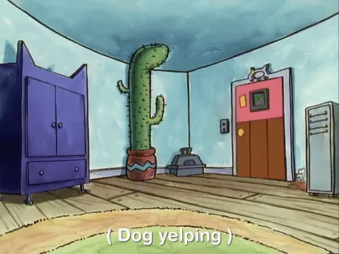 nicksplat GIF