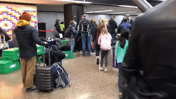 'Luggage in Limbo': Crews Work to Reunite Bags With Passengers Amid Flight Disruption