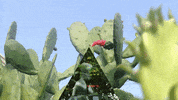 Art Film GIF by jorgemariozuleta