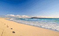 adamaresinglereisen  GIF